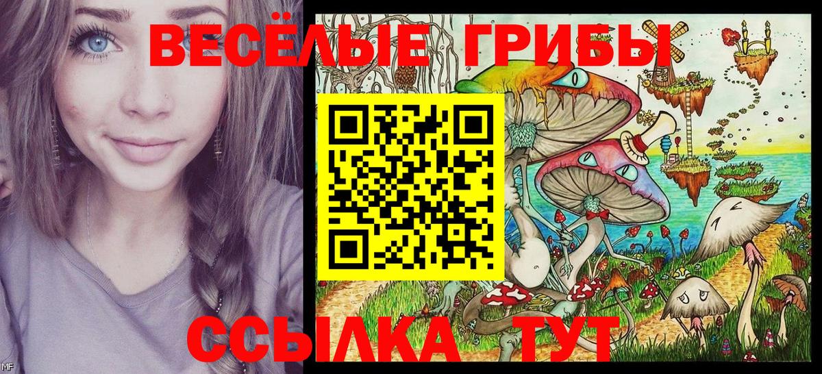 Псилоцибиновые грибы Magic Shrooms Воскресенск